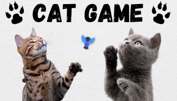 dwa koty patrzą się do góry i próbują złapać muchę, dwie odbite kocie łapki i napis cat game