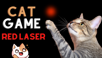 kot podnoszący łapkęw stronę czerwonego lasera, ikonka zadowolonego kota, napis cat game red laser, czarne tło