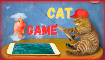 kot grający w grę na telefon rybki