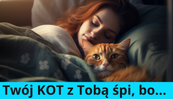 kobieta śpiąca z kotem w łóżku i napis "Twój KOT z Tobą śpi, bo..."
